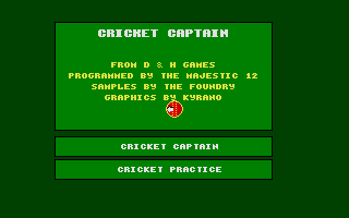 Large screenshot of Cricket Captain