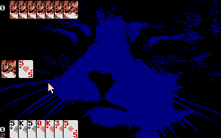 Large screenshot of Red Cat Rummy 500+