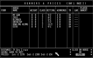 Large screenshot of Horse Racing Simulator