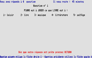 Large screenshot of Q.I. Test