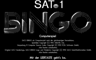 Large screenshot of Sat.1 Bingo