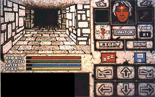 Large screenshot of Survivor, The