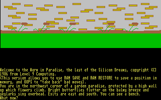 Screenshot of Silicon Dreams Trilogy