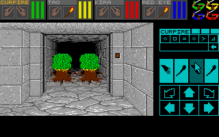 Large screenshot of Dungeon Master - Beastmaster