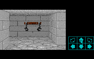 Large screenshot of Dungeon Master - Bennis Dungeon I