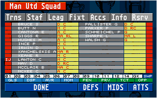 Large screenshot of Championship Manager 94 - End of Season Edition
