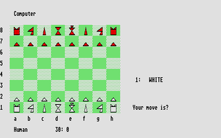 Large screenshot of Gnu Chess