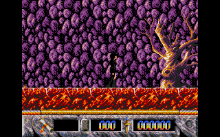 Large screenshot of Elvira - The Arcade Game