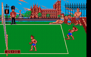 Screenshot of Beach Volley