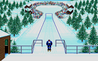 Large screenshot of Winter Olympiad