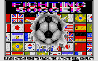 Screenshot of Fighting Soccer
