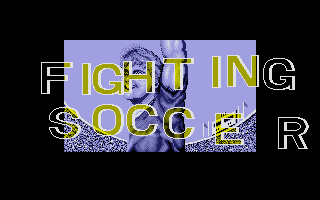Large screenshot of Fighting Soccer