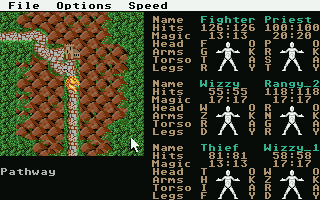 Large screenshot of Phantasie 3 - The Wrath of Nikademus