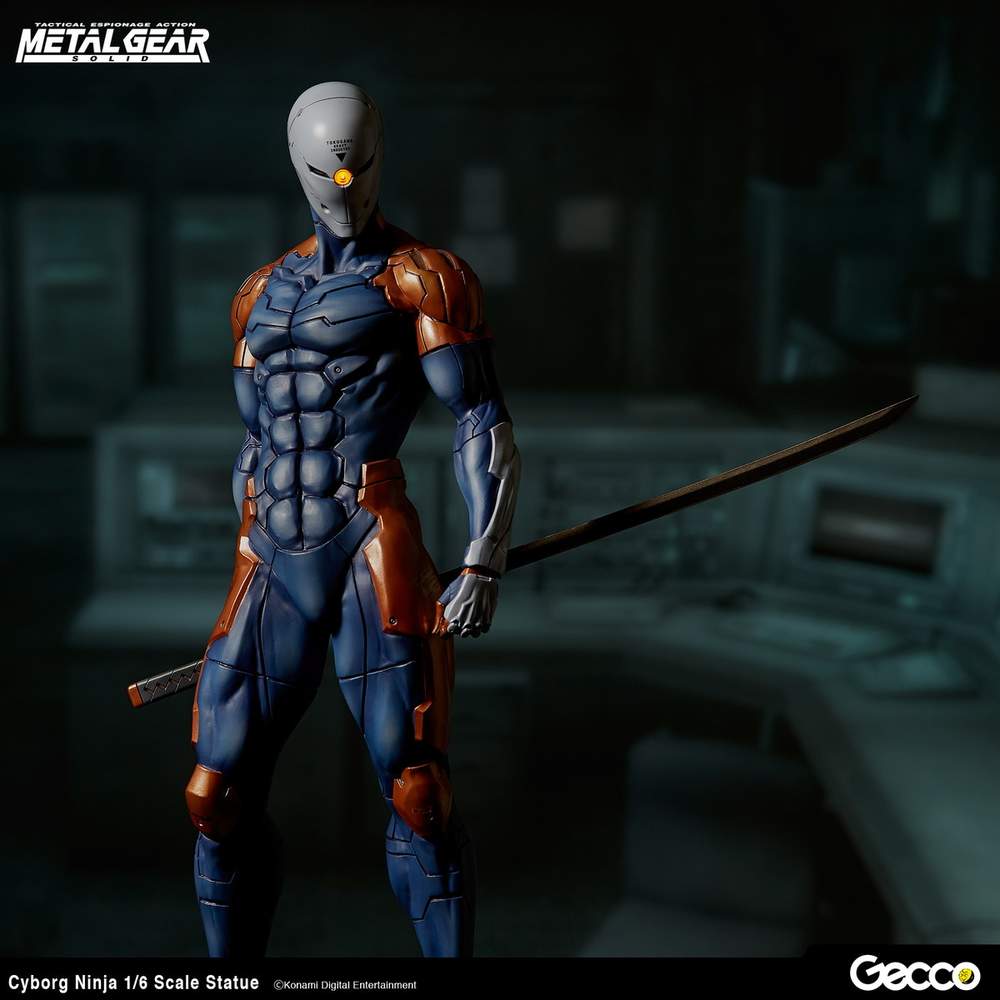 The Grey Fox ninja from the game Metal Gear Solid. This is where Darren got the inspiration for his book publishing company (and his nickname).
